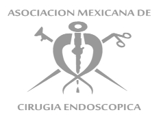 Mexican Association of Endoscopic Surgery